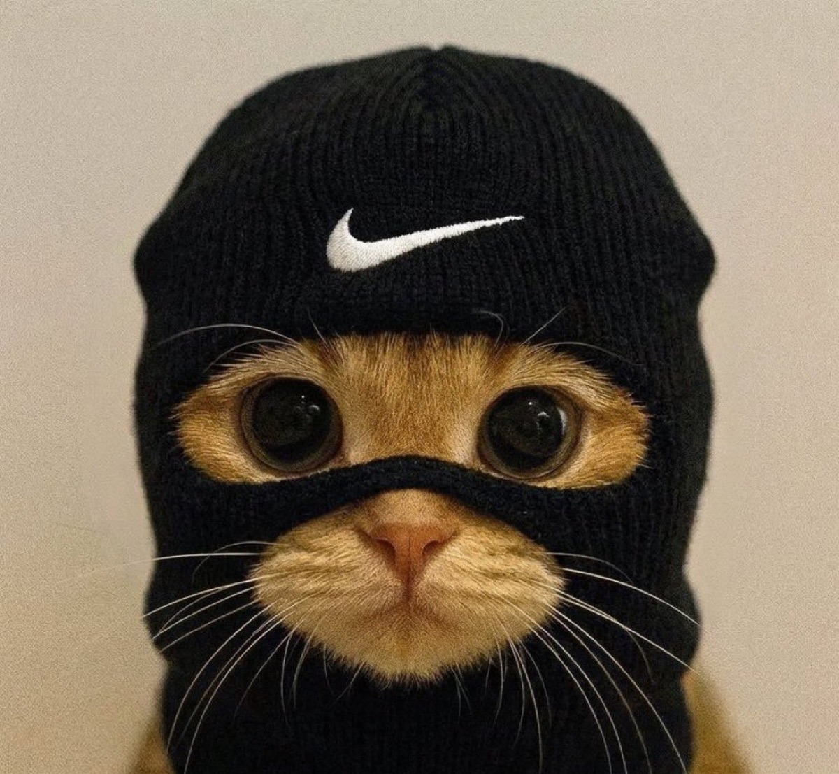 A cat in a black Nike ski mask